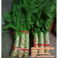 有机蔬菜供应商、有机蔬菜、田润蔬菜批发(