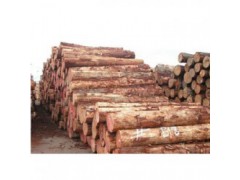 灌阳收购松木企业一览表