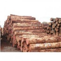 灌阳收购松木企业一览表